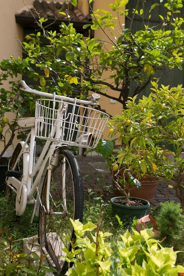 A Casa Di Tom Bed & Breakfast Sant'Ambrogio di Valpolicella Ngoại thất bức ảnh